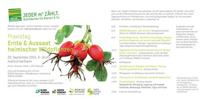 20Sept24_Praxistag_Hartheim_Wildpflanzenvermehrung