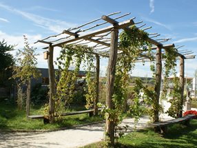 siedlergarten ritzlhof (2)