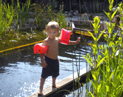 Ein Schwimmteich - das sommerliche Gartenzentrum © Paula Polak