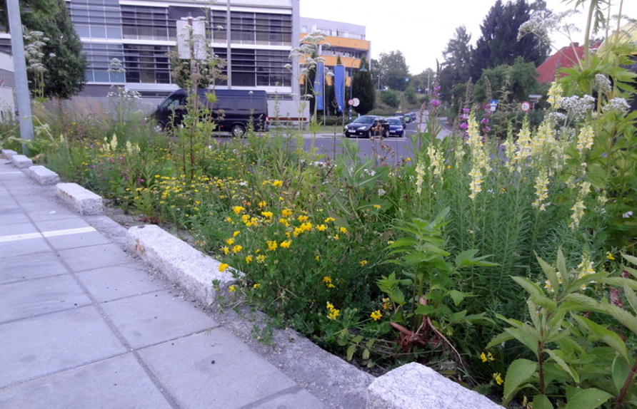 SPAR Linz Froschberg 2 © Kumpfmüller