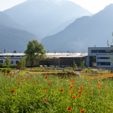 Ein Firmengelände als Naturerholungspark in Zirl, Tirol