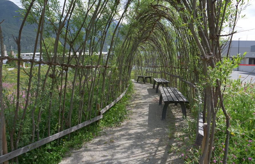 Das ‚Innere‘ des Weidentunnels mit einfachen Sitzgelegenheiten  © Maria Siegl