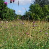 Landschaftsgestaltung Firma Gradwohl - Melk, Niederösterreich