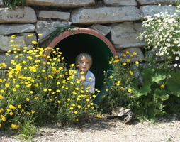 VS Wels Mauth © Kumpfmüller