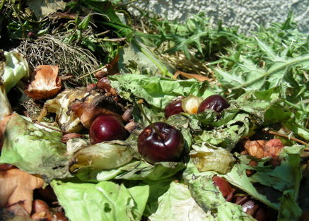 Alles ist Rohstoff…