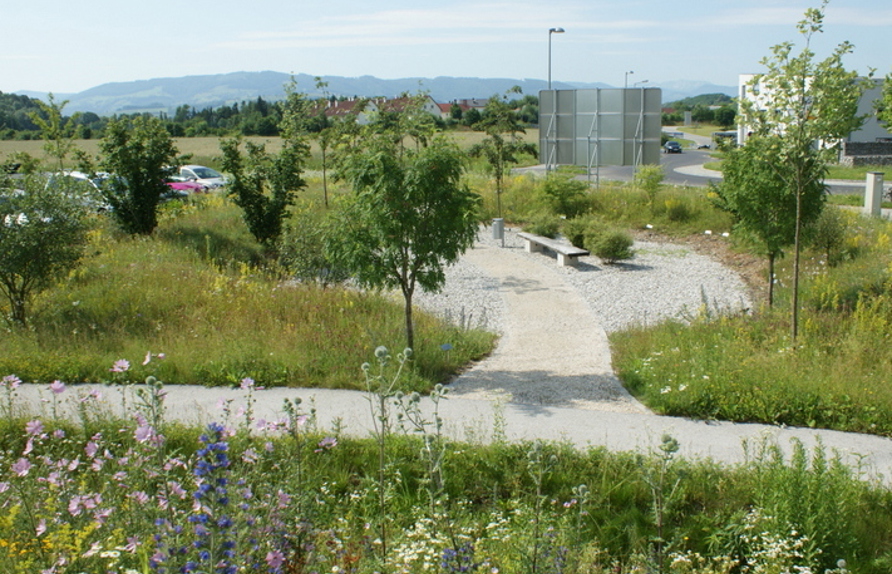 Freiflächen Stadtgut Steyr - © Kumpfmüller