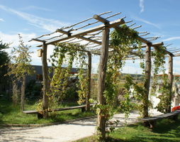 Siedlergarten Ritzlhof © Kumpfmüller