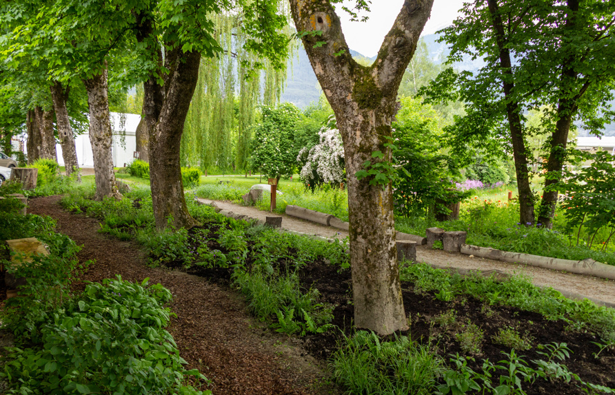 Waldgarten im 1. Jahr nach der Anlage © Maria Siegl