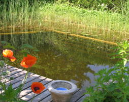 gepfleget Schwimmteiche funktionieren Jahrzehnte lang © Polak