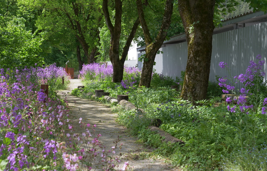 Waldgarten im 2. Jahr © Maria Siegl