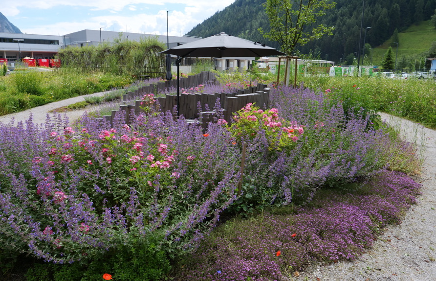 Prachtstaudenbeet mit einer Mischung aus heimischen Pflanzen, Zuchtsorten und robusten Strauchrosen © Maria Siegl