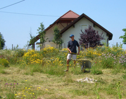 Pflege Wiese © Luger